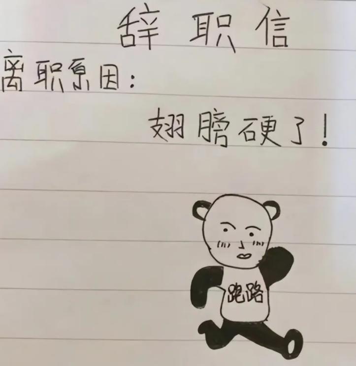 00后毕业生低情商辞职信火了,00后一封辞职信火了