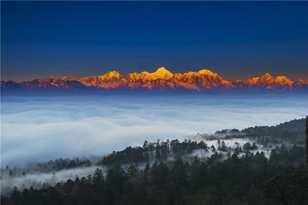 来雅安去哪玩最好玩,夏天去雅安旅游怎么样