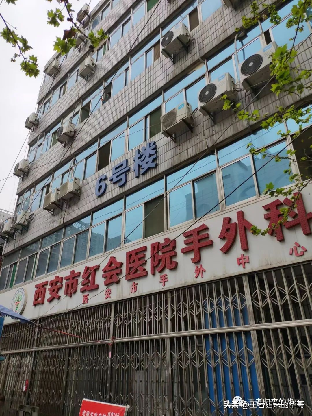 我和疫情下的我做个和解