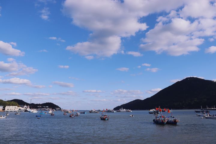 哪几种三脚架不好用,三脚架独脚架如何选择