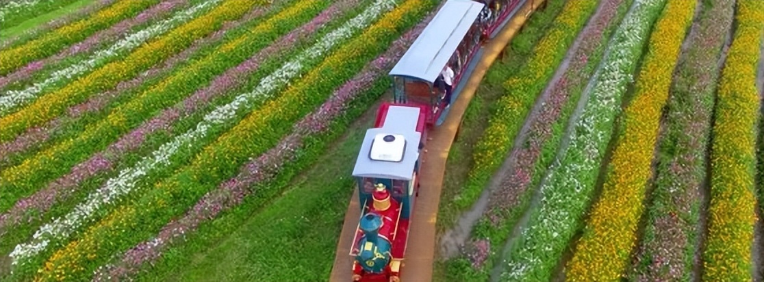 卡塔尔世界杯现场燃爆,卡塔尔世界杯带给你最大的感受