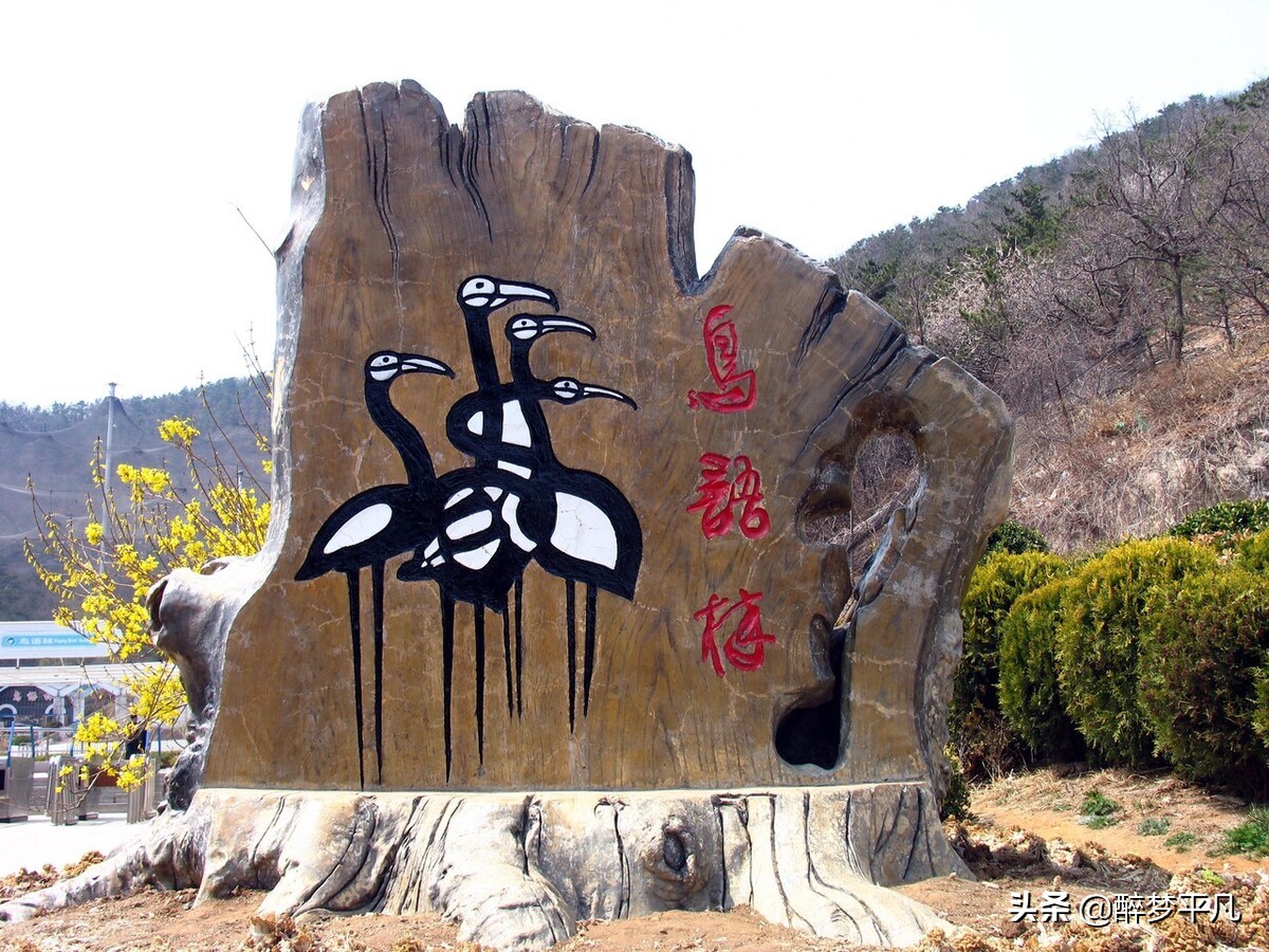 大连老虎滩和老虎滩极地海洋公园,老虎滩极地馆和老虎滩海洋公园