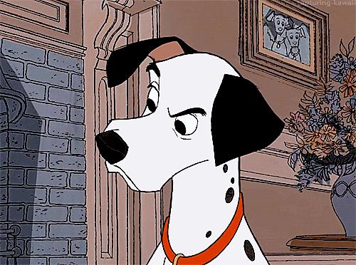 斑点狗这么可爱为什么很少人养,斑点狗为什么是禁养犬