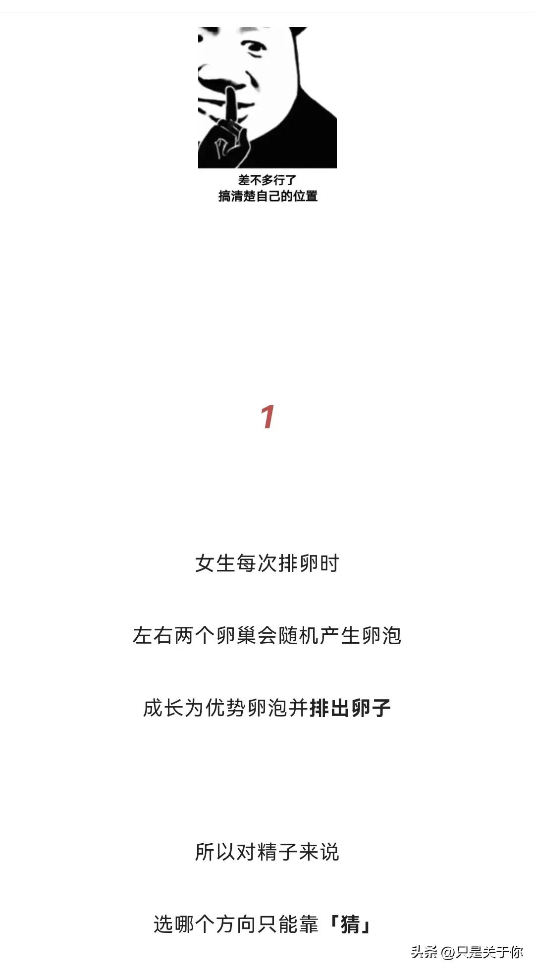 漫画：忍住“不射”的精子会去哪儿？