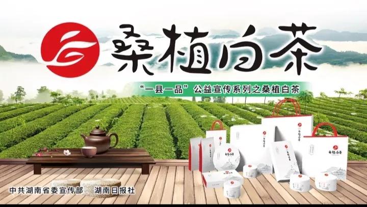 悬空广告茶壶一一张家界桑植是否要搞一个