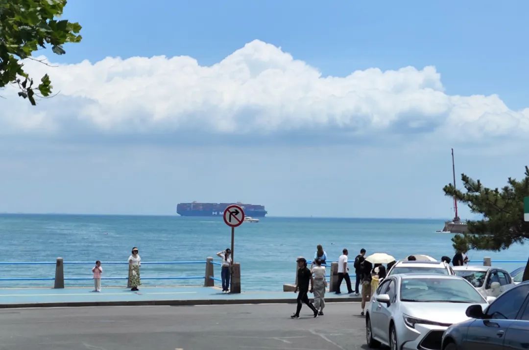 青岛绝美的一条路,青岛都是树的风景路
