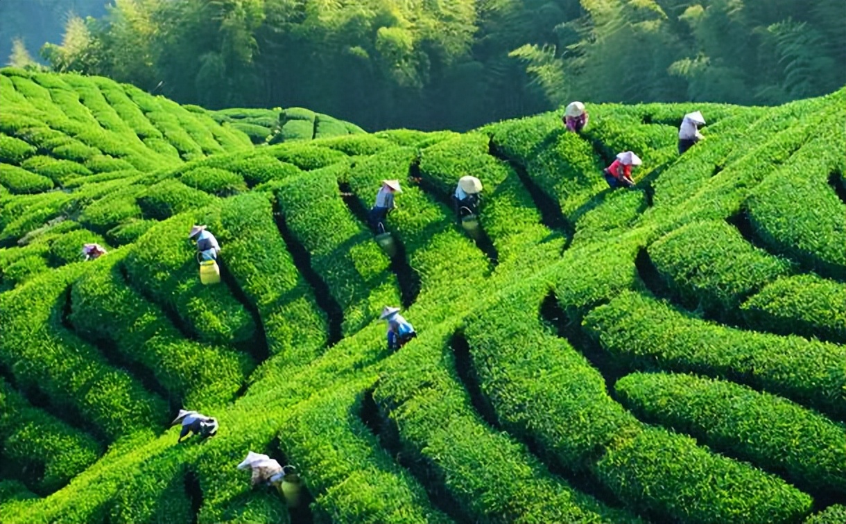 广东惠州旅游攻略3天自由行,惠州罗浮山2天一夜游