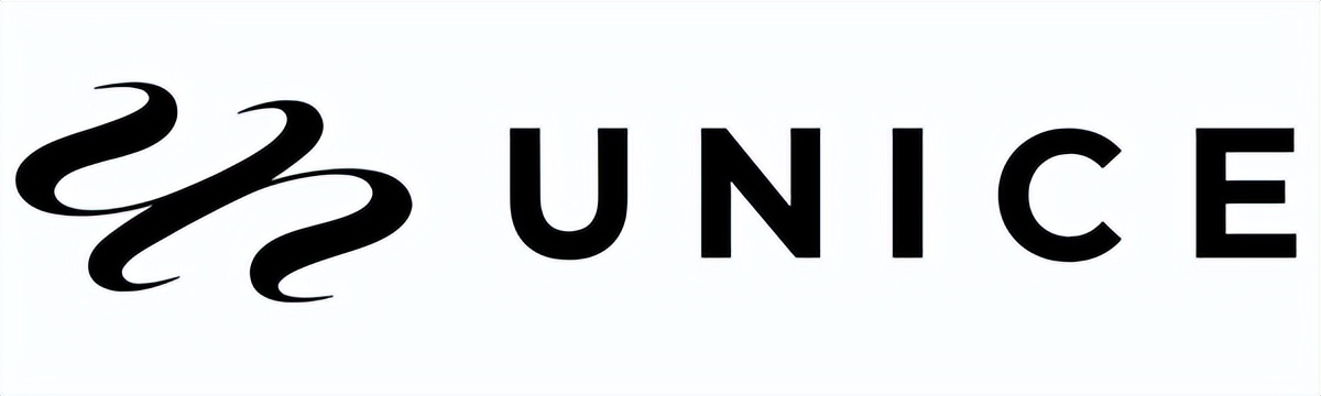 走进非洲假发市场,6|品牌案例分析：瑞贝卡、UNice、Luvmehair