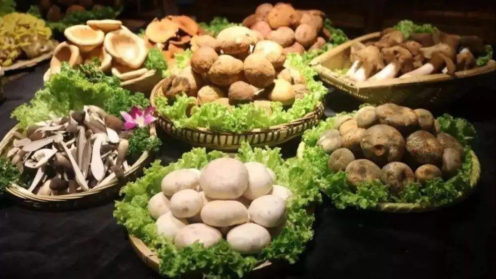 云南昆明旅游攻略自由行攻略,云南旅游自由行攻略昆明大理丽江