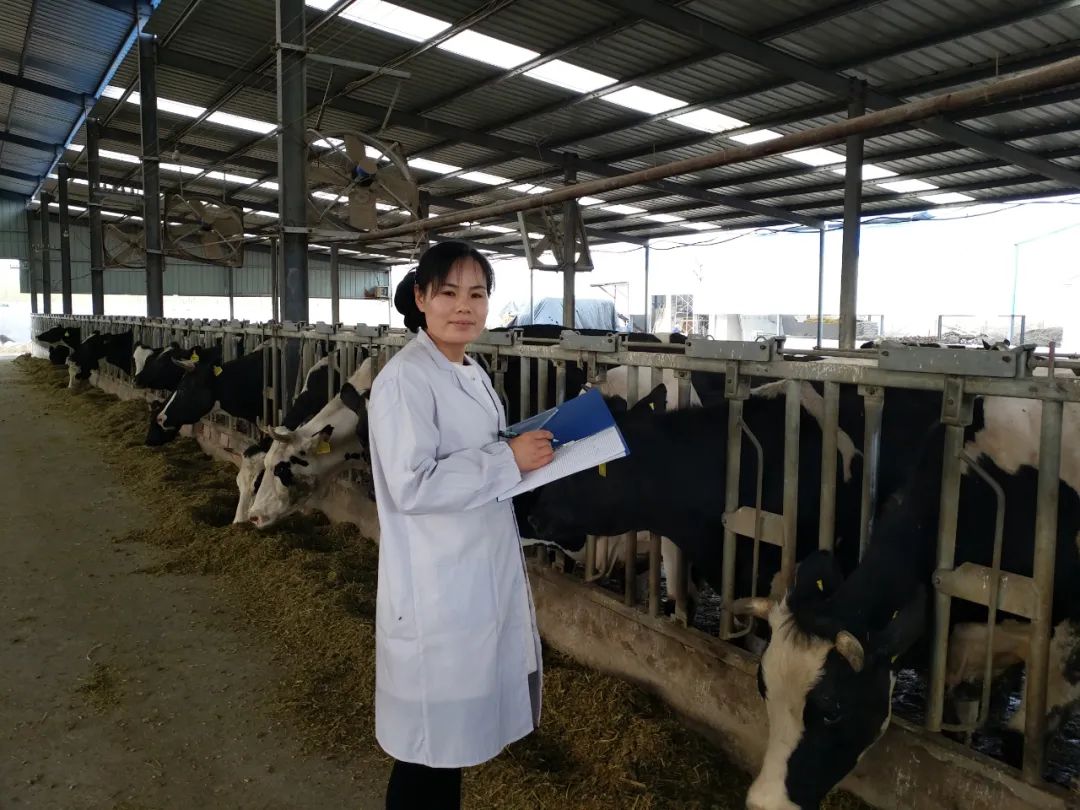 “我的奋斗建功故事”|成美玉《风雨创业路致富引路人》的故事