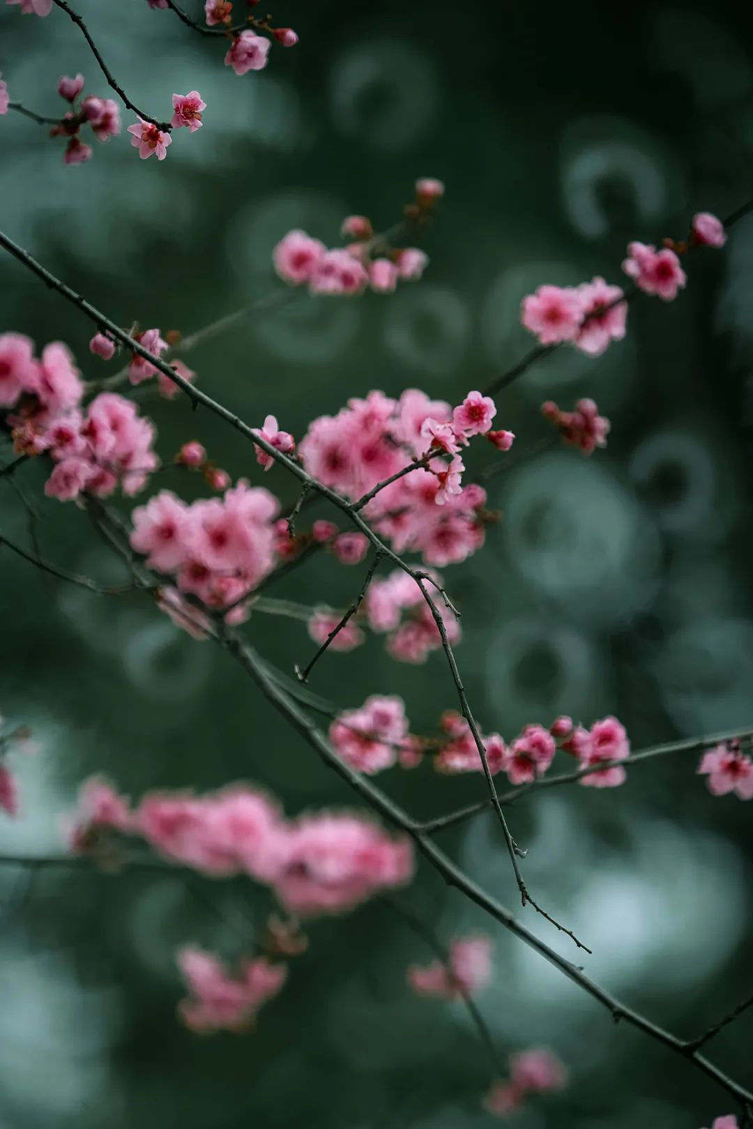 相机滤镜uv效果,相机使用uv滤镜