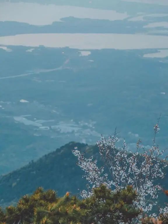 年轻人禅修寺庙比酒店更赚钱 (寺庙短期禅修)