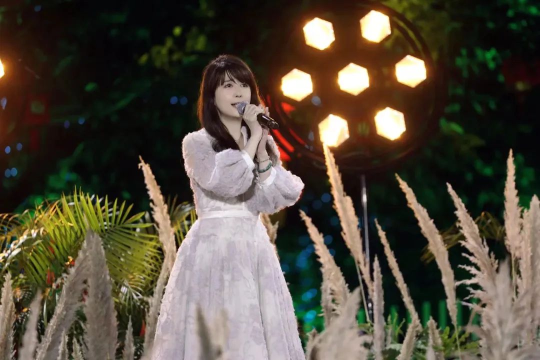 孟庭苇光阴流逝,圆圆的月亮圆圆的脸孟庭苇完整版