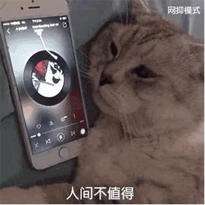 又笨又犟又懒的人怎么拯救,人特别懒怎么才能变得勤奋