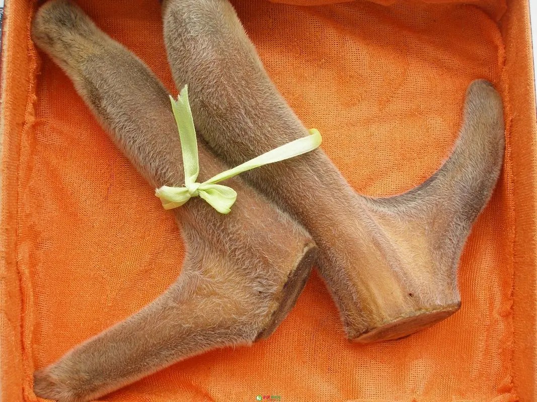 鹿一身都是宝,鹿茸那么贵为什么养鹿不赚钱