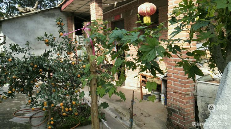 身穿15元鞋子老人向社会捐款1000万,老人穿15元鞋给家乡捐款1000万