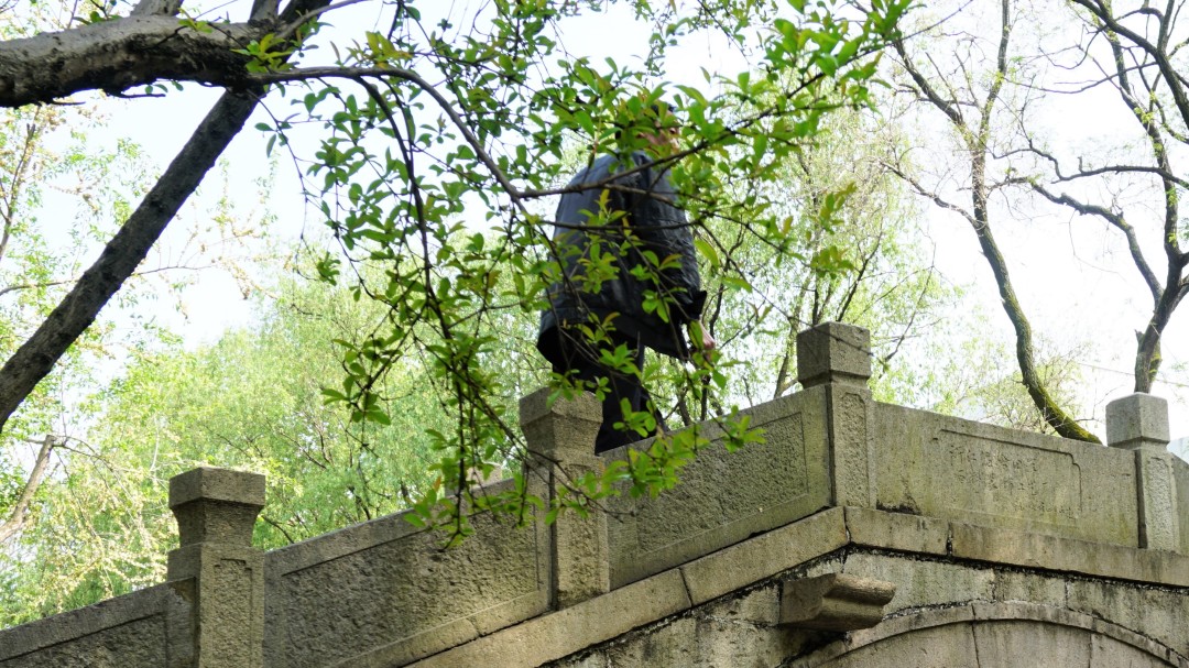 同济大学有多漂亮,同济大学的浪漫