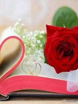 一卷好书在手，岁月含香