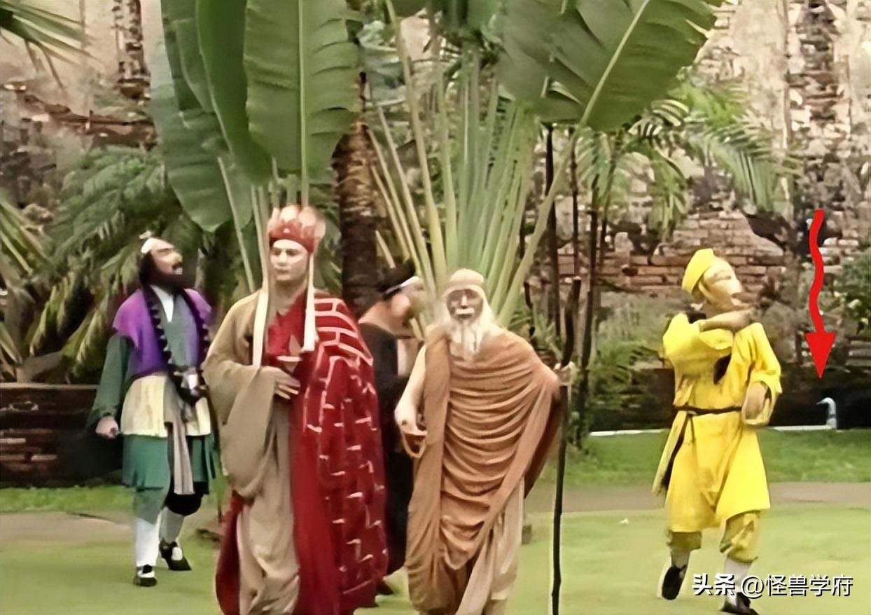 输血管跟电线杆都还能忍，但那个玩手机的，真拿观众当傻子不成？