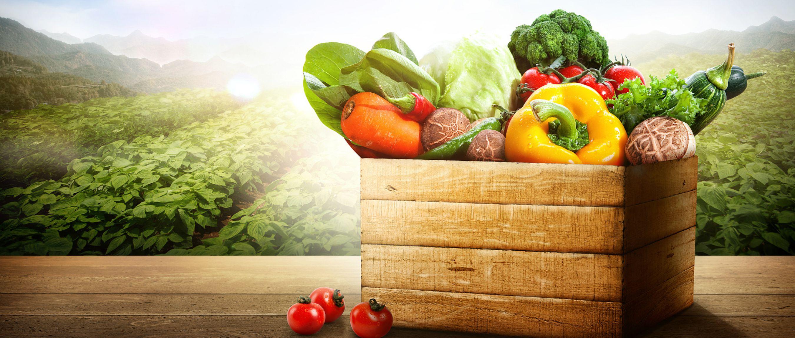 拼多多一季度财报说明了什么问题,拼多多财报分析近三年