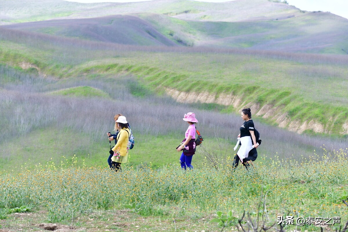 清明的习俗完整版50字,网络中国节清明活动