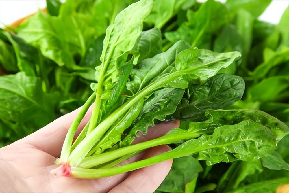 叶酸对防止中风有用吗,叶酸可以预防脑卒中吗