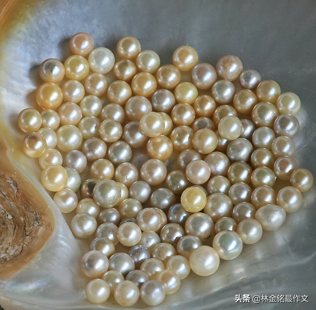 高阳公主唐朝,高阳公主为什么叫合浦公主