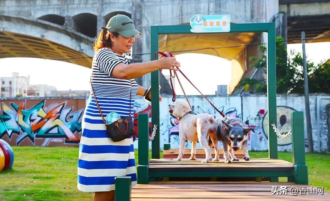 珠海遛狗有市场吗,珠海有哪些地方可以遛狗啊