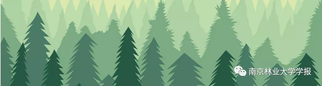 玫红色的樱花品种,100多种樱花新品种