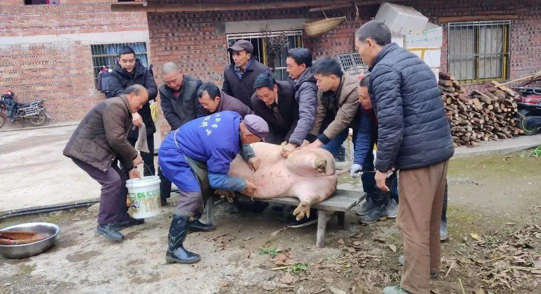 吃刨猪汤有什么讲究吗,吃刨猪汤是什么意思