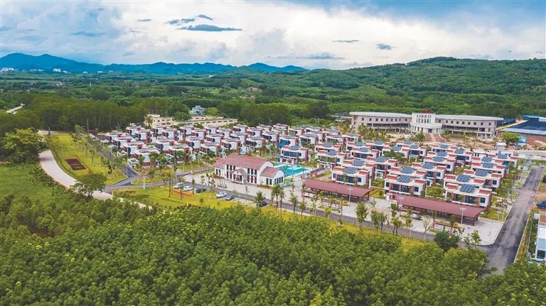 新的一年怎么干？海南19个市县委书记、市县长这样说→