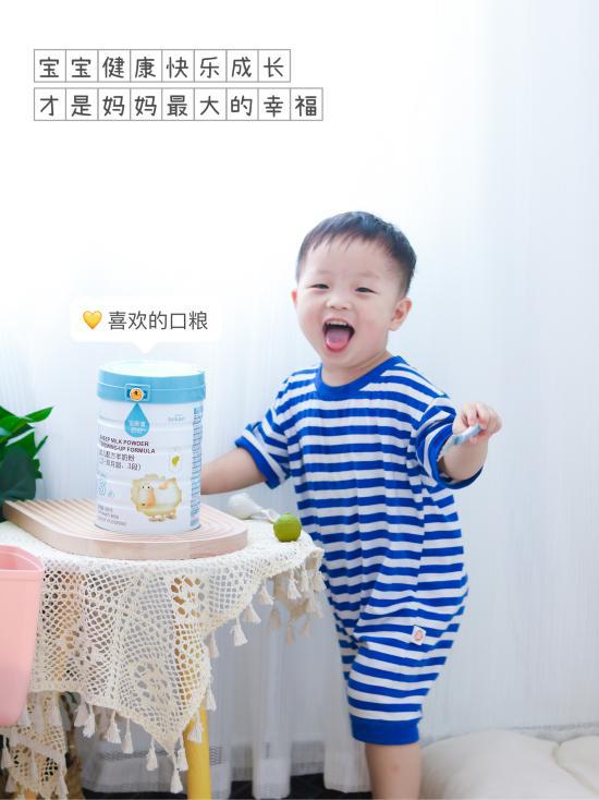 羊奶粉哪个品牌好喝又营养,哪个牌子的羊奶粉营养好