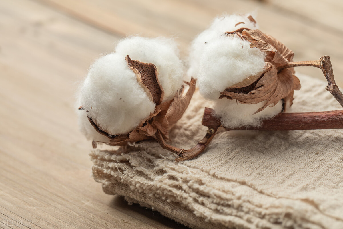 阿迪和耐克新疆棉,耐克阿迪新疆棉来龙去脉