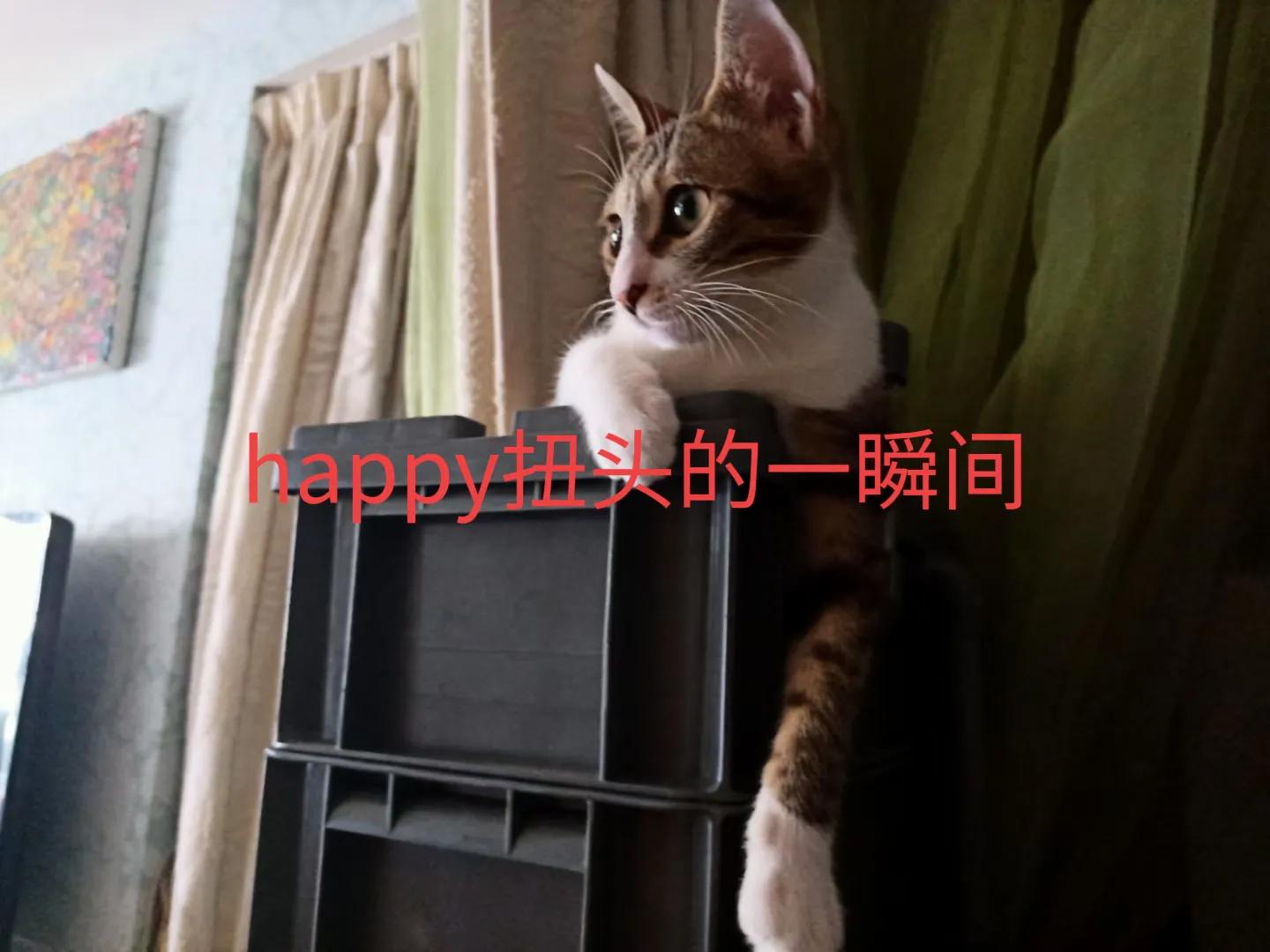 happy鎴戠殑濂冲鎻掓洸,浣爃appy鎴戜篃happy