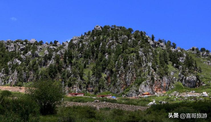 四川阿坝红原旅游攻略,阿坝红原山舍自驾游