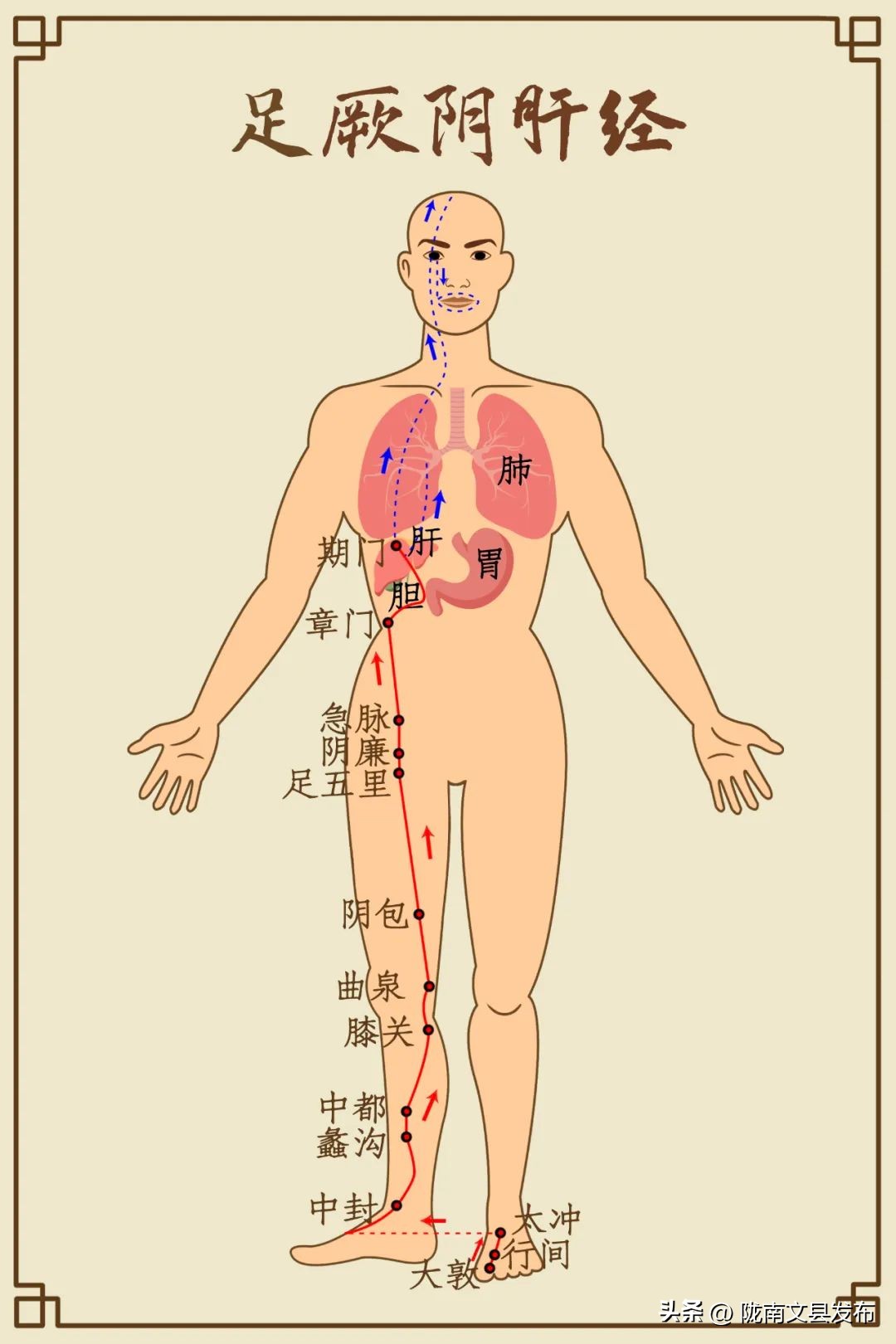 结节最怕哪三味药,打通结节最佳方法消结散肿