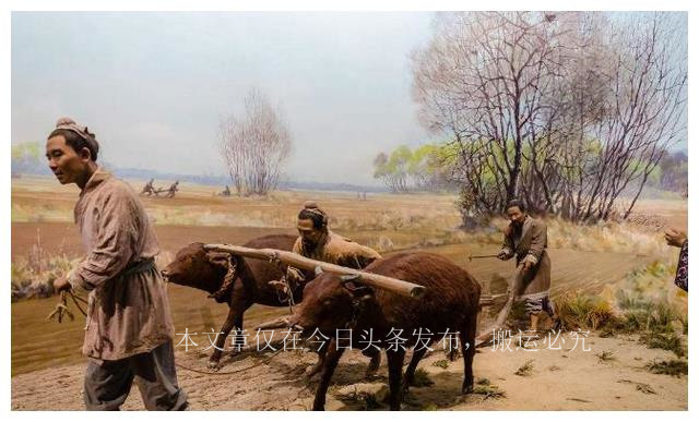 男怕小嘴女怕大鼻子的意思,为什么易经说男怕小嘴女怕大鼻