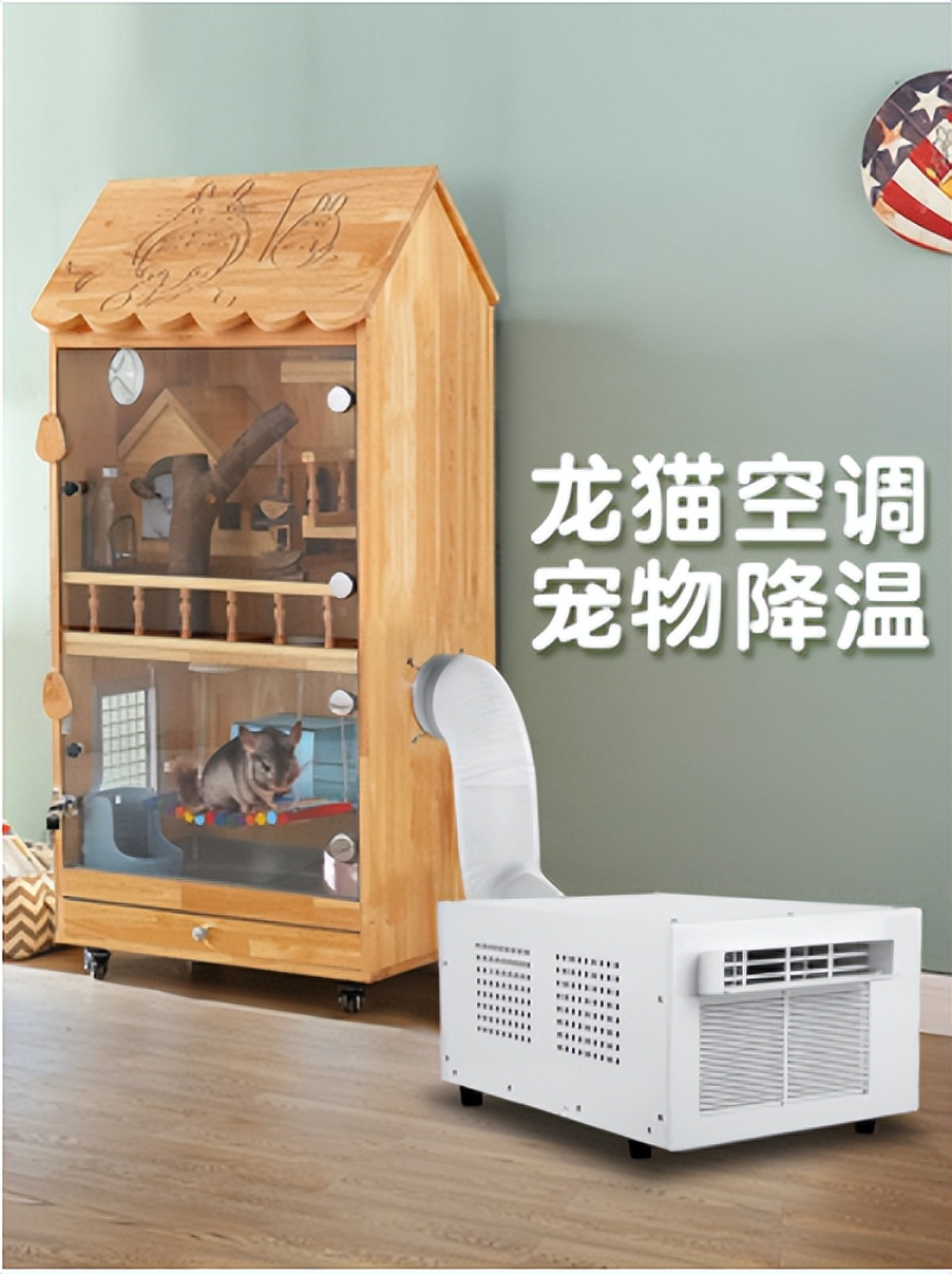 适合新手养的宠物龙猫,养一只可爱的龙猫