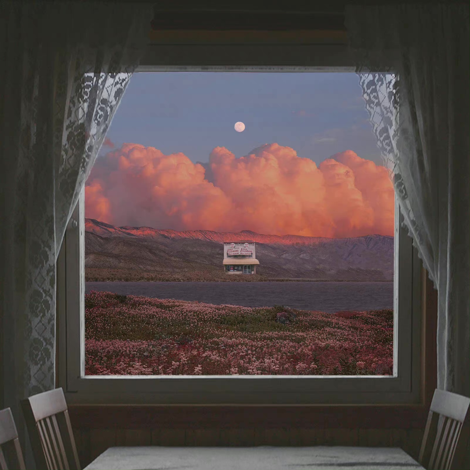 干净治愈系壁纸推荐高清无水印,草原花海治愈系风景唯美意境壁纸