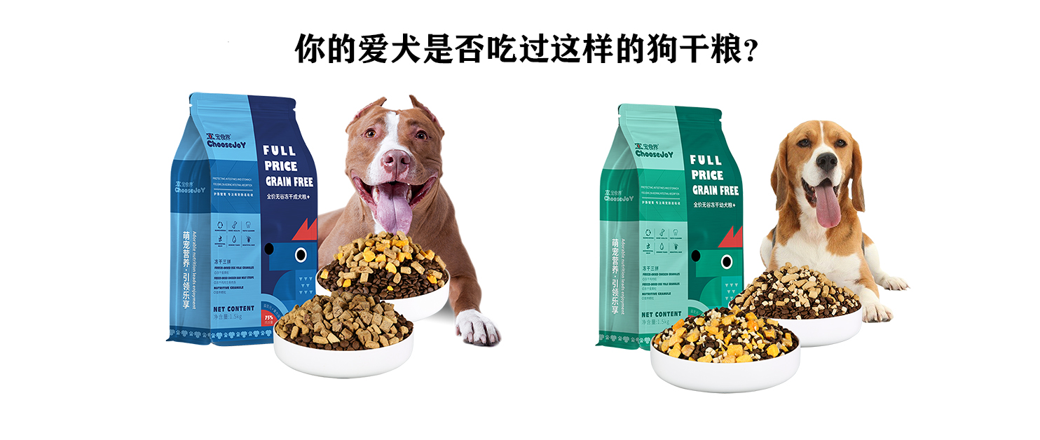 柯基狗狗挑食不吃狗粮怎么办,狗狗挑食吐黄水也不吃狗粮