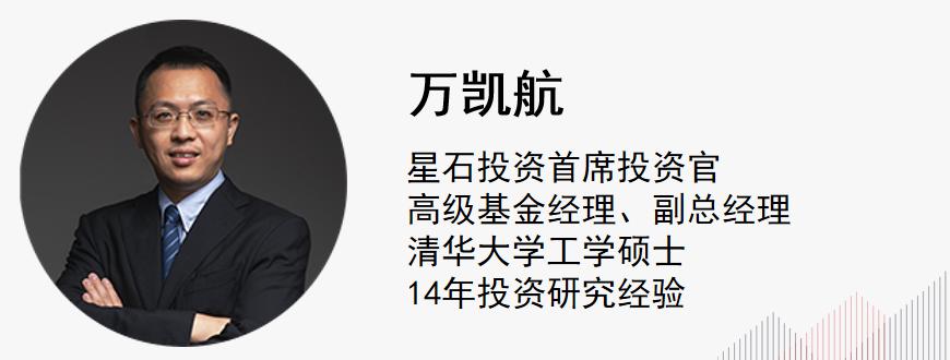 基金经理谈投资,ai基金经理的投资策略