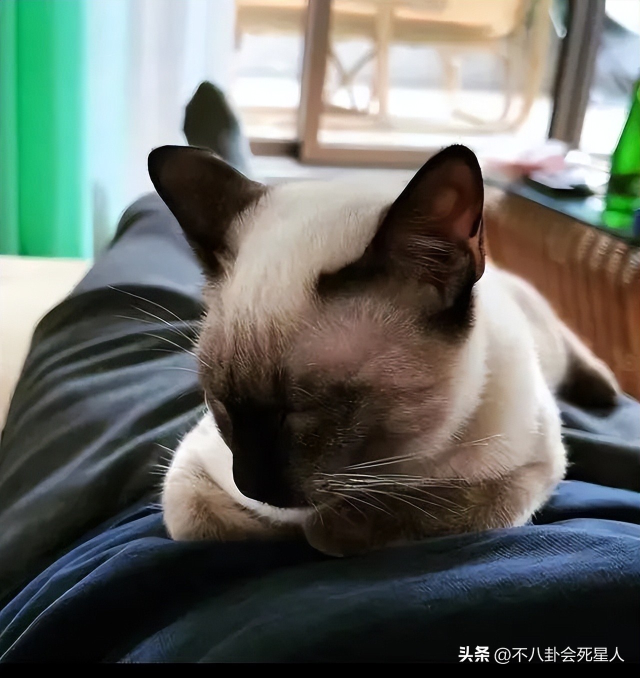 张默和房祖名被抓的时间,张默和房祖名关系好吗