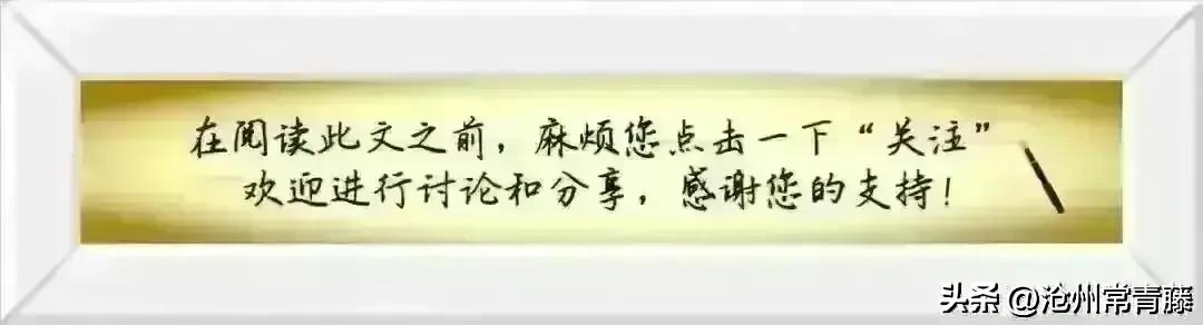 夏至节气感慨,今日夏至话题