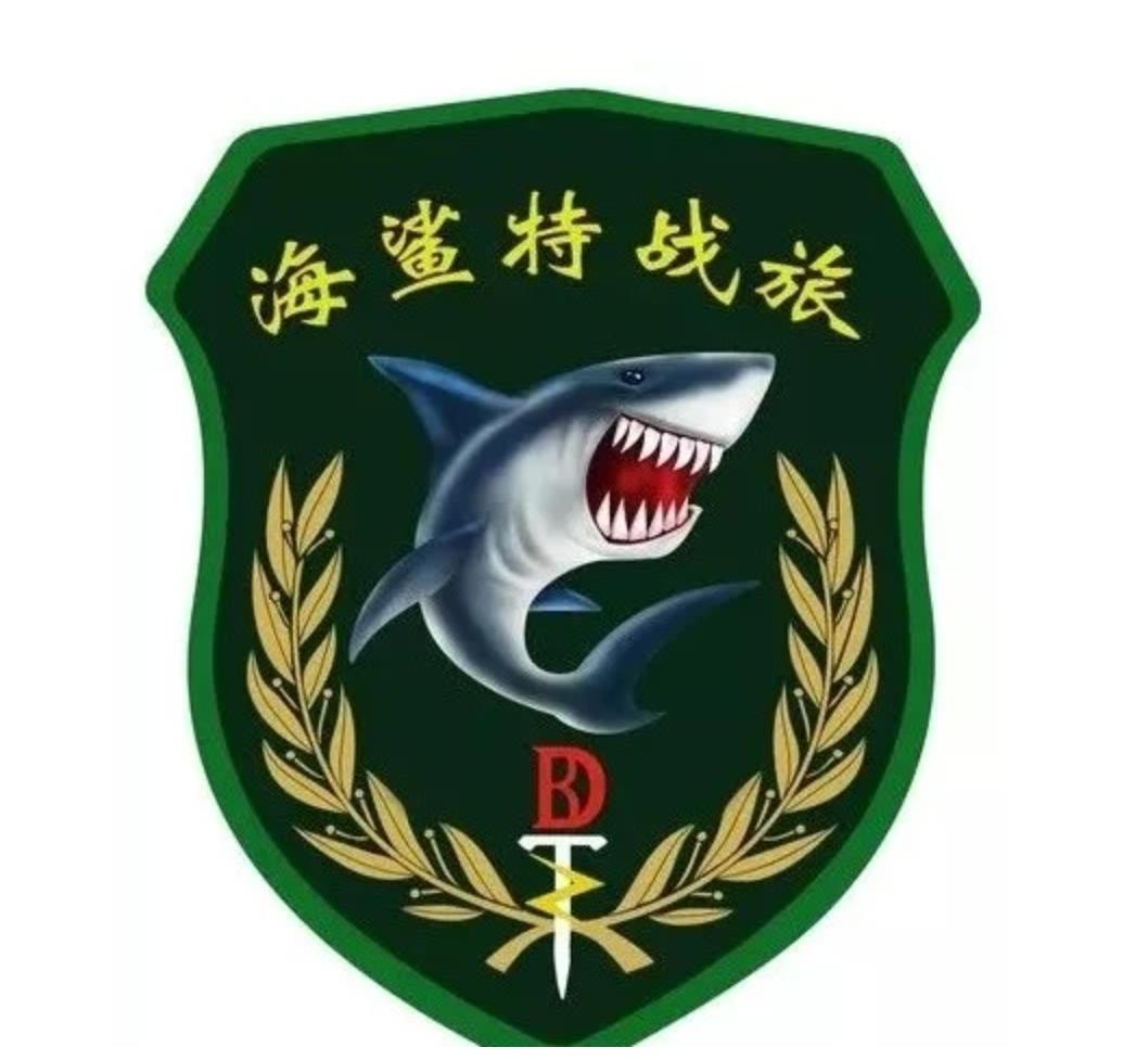 解放军最接近美军编制的部队,美军分析解放军特种部队