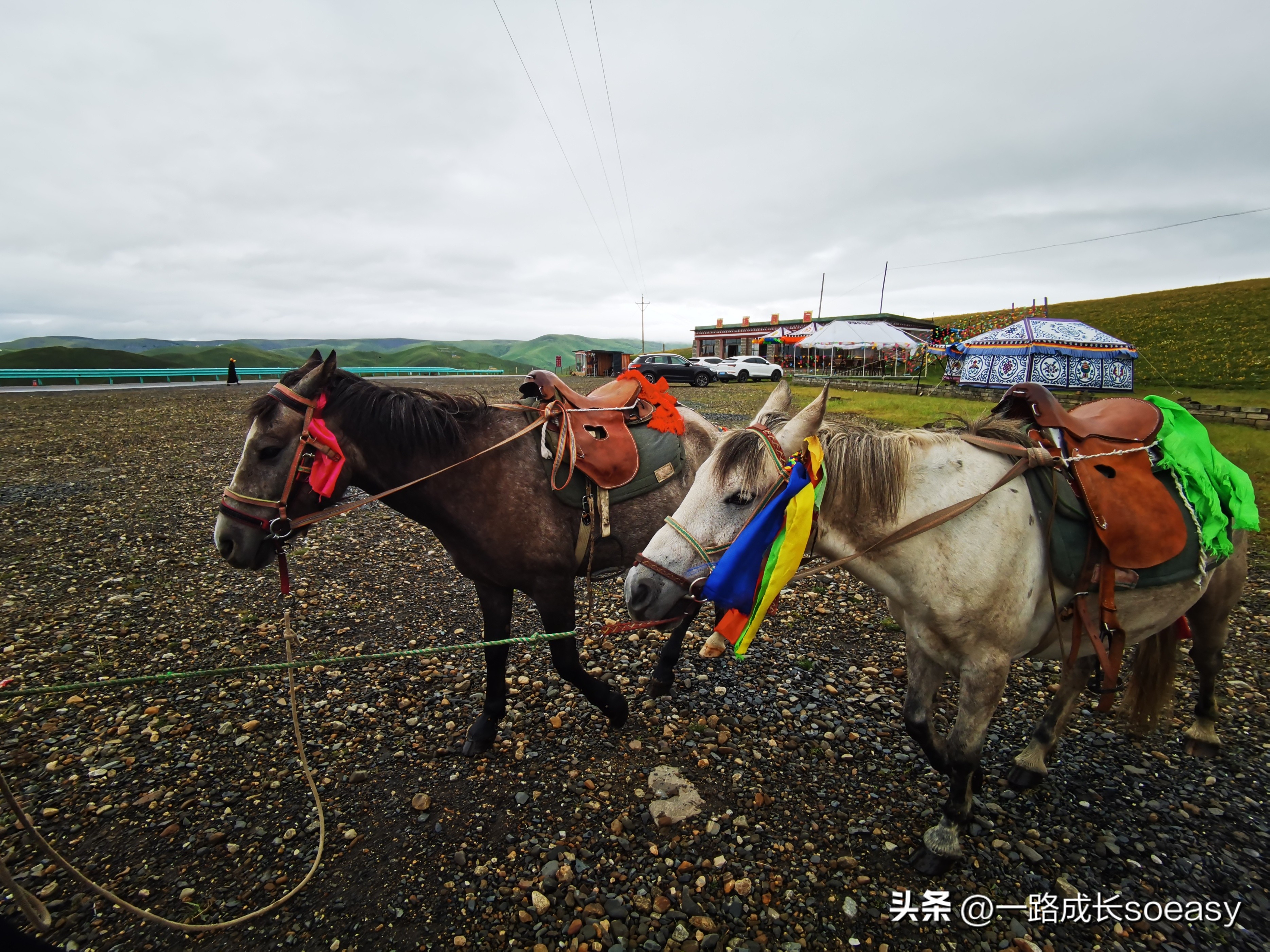 川西阿坝甘孜自驾游最佳线路图,甘孜阿坝三日游路线推荐