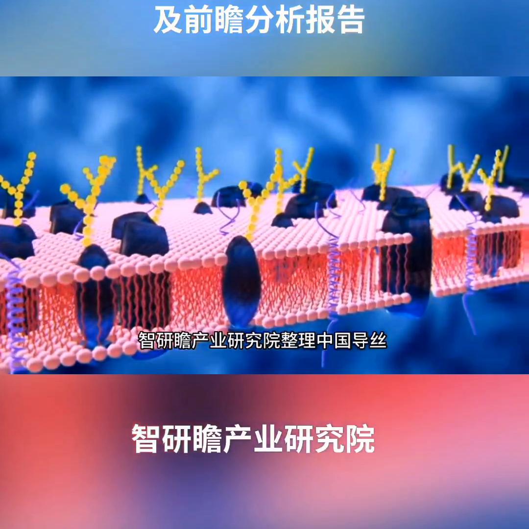 综合性市场分析报告分析维度,市场前瞻与转型策略分析报告