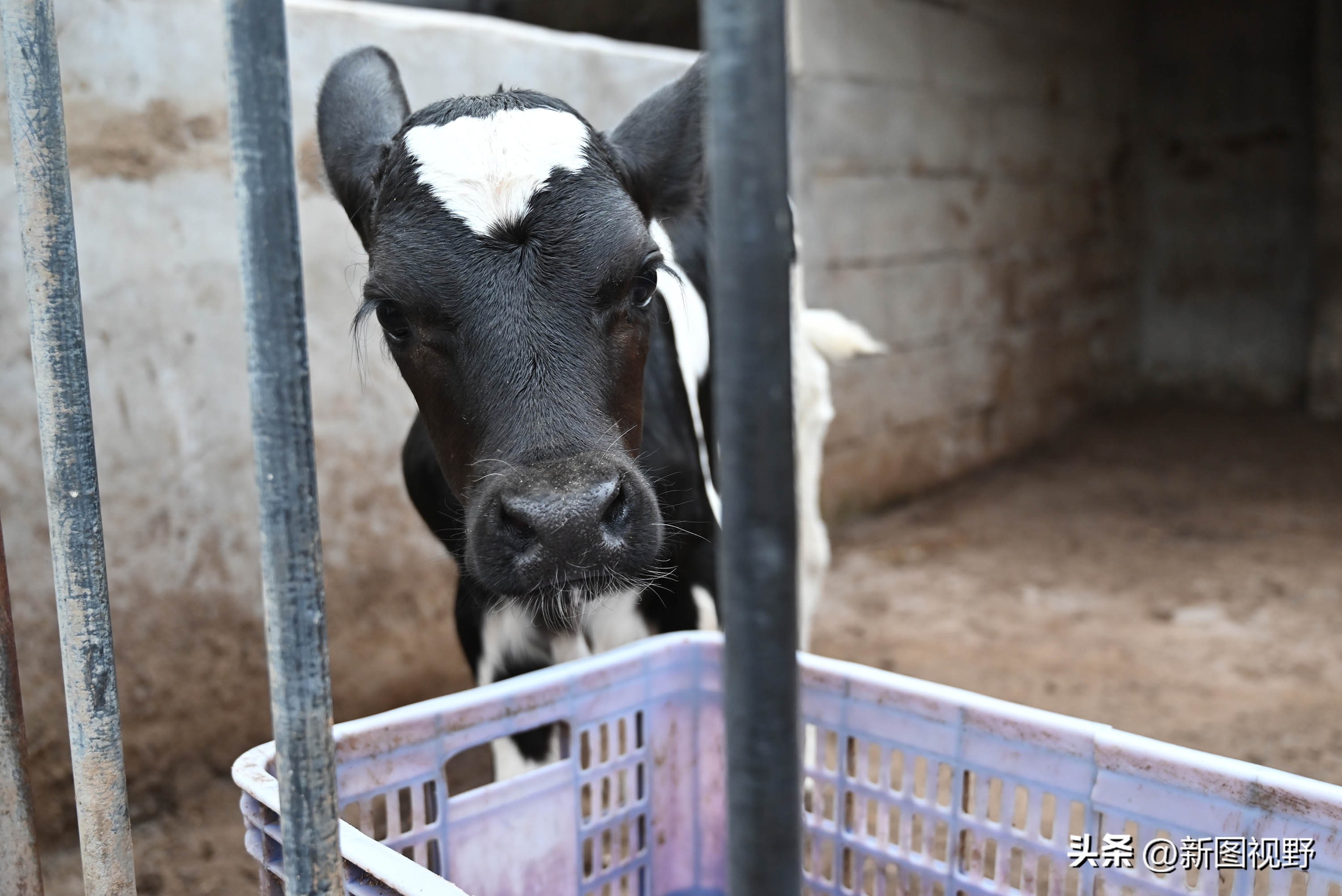 夫妻做的暴利生意,夫妻俩做生意赚3亿