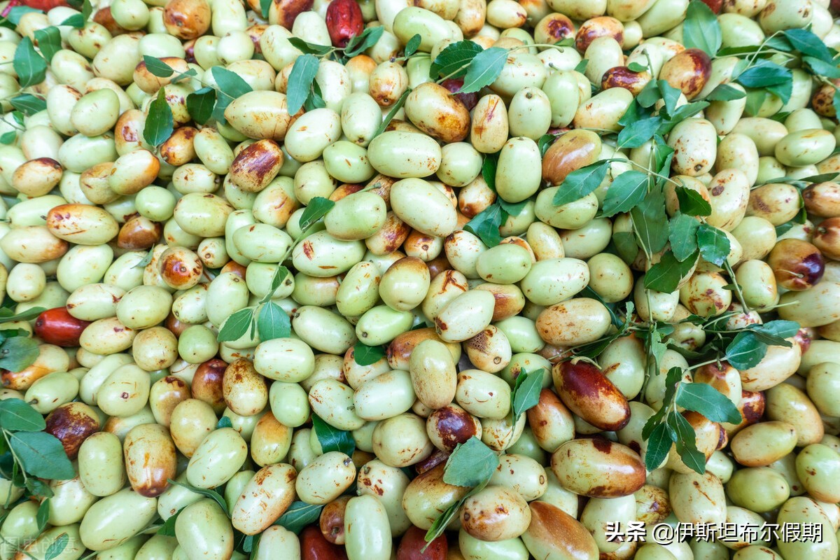 万物皆可吃是什么,万物皆可清水煮