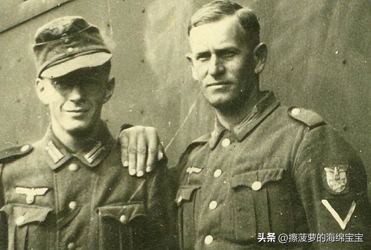 霍尔姆盾章二战德国,二战德国军奖章