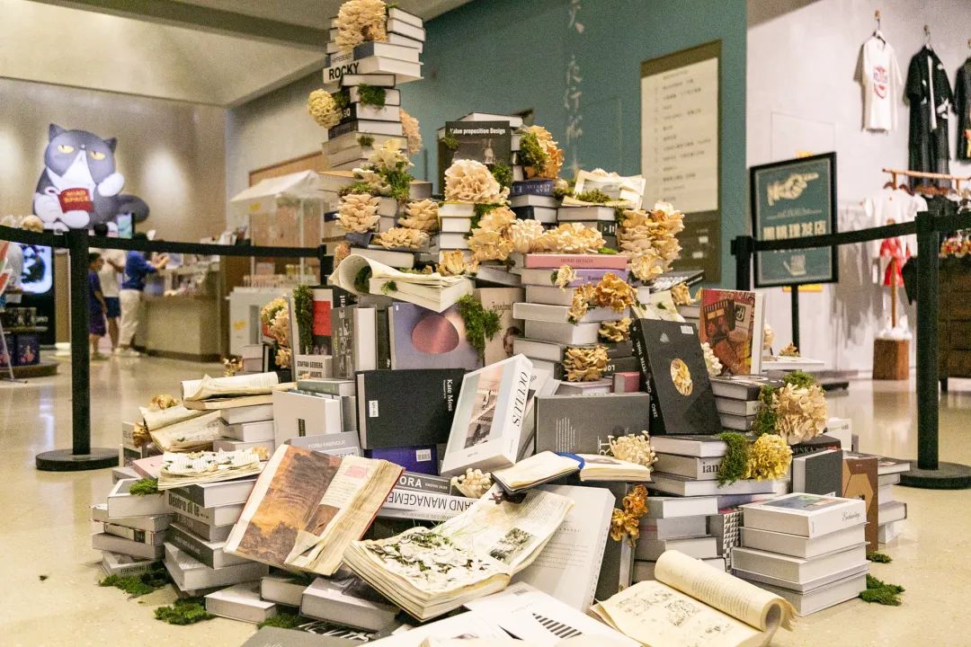 西安美院老城根 (西安老城根美院)